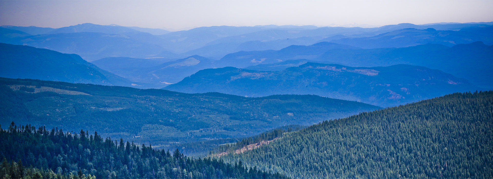 可持續(xù)發(fā)展